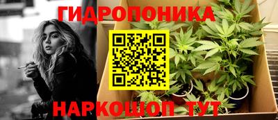 стаф Камышлов